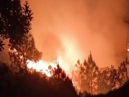 धधक रहे उत्तराखंड के जंगल! कुमाऊं में 24 घंटे के भीतर 33 जगह लगी आग,वन संपदा को भारी नुकसान